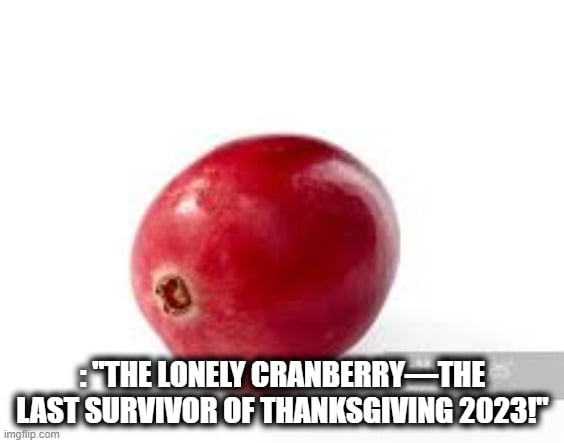 Funny Day After Thanksgiving 2023 Memes