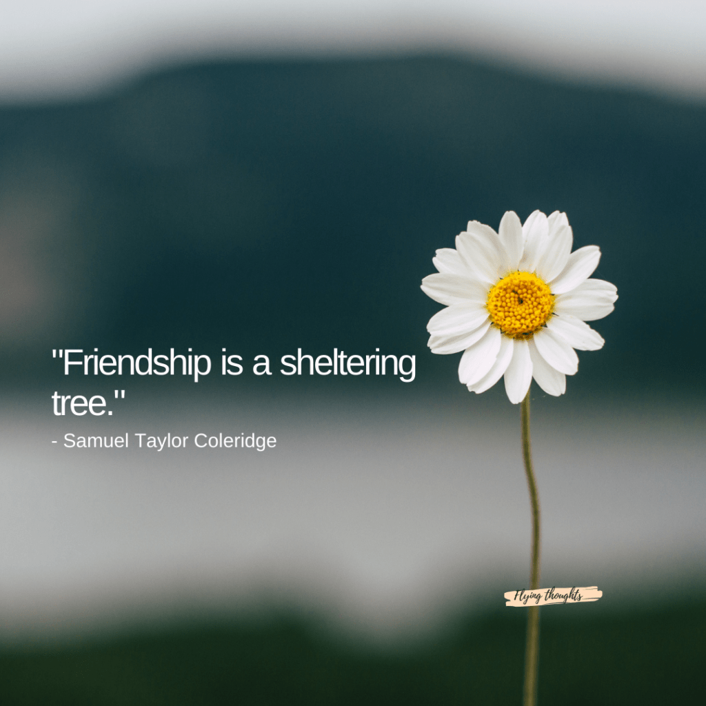 Heartwarming Friendship Quotes for Special Bond in English